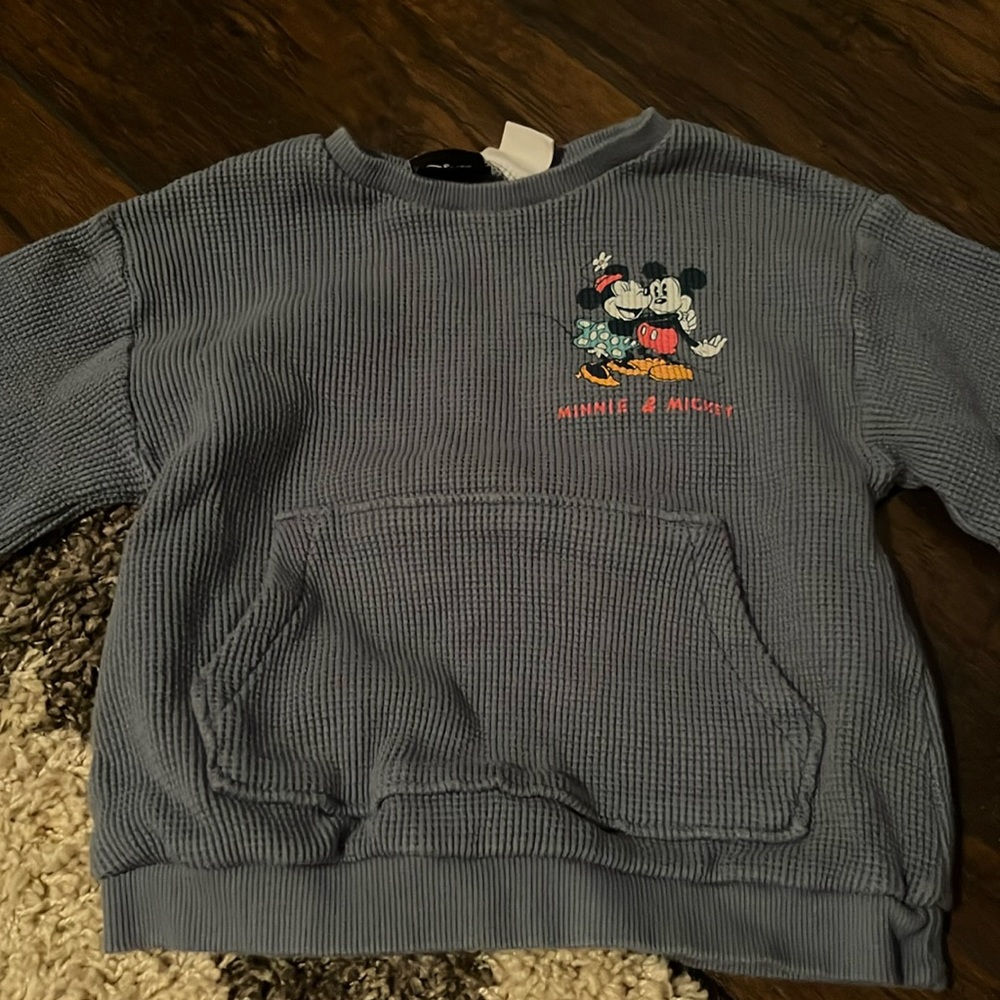 Zara Disney Sweatshirt